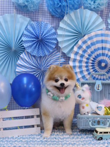 20231104モコくん